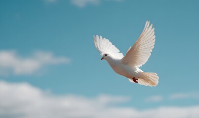 A white pigeon flies in a clear blue sky