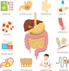 Medical healthcare icons with stomach kidney and liver illustration vector