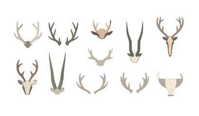 Minimal horn and antler vector set with deer and reindeer wildlife elements isolated on white background © MD