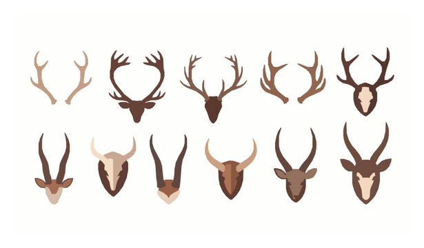 Wild animal horn and antler flat vector set with deer and antelope trophies isolated on white background