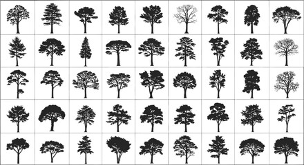 Collection of diverse tree silhouettes in black on white background for design and decoration