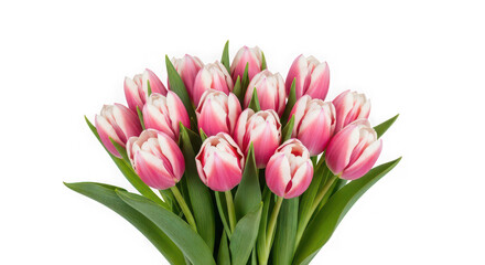 Naklejka premium A bouquet of pink tulips on transparent background
