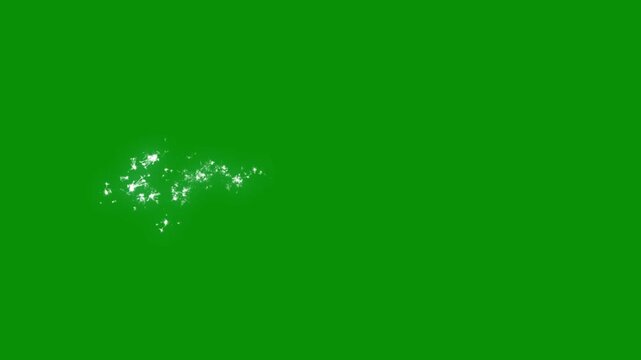 Sparkling glitter stars shine animation, white glitter sparkling stars, white cartoon flat vector doodle style stars, blinking light effect, glow twinkle on green screen background