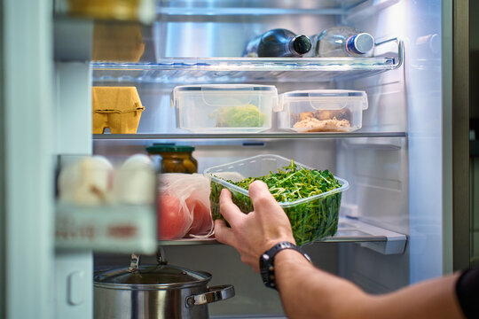 Close up of hands taking plastic container with fresh green arugula leaves from open refrigerator with food on shelves. Concept of healthy eating, home food storage and meal preparation