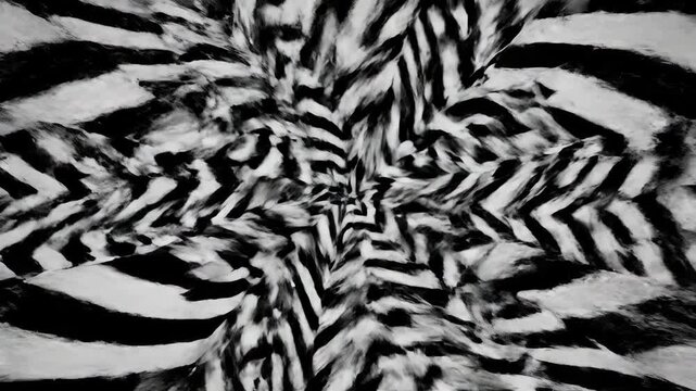 Mesmerizing abstract background animation featuring black and white zebra skin texture rotating in kaleidoscopic star pattern. Hypnotic optical illusion motion graphic with animal fur details