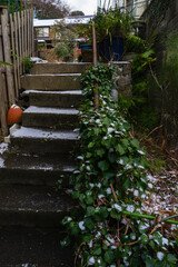 雪の残る路地の小さな階段20260208