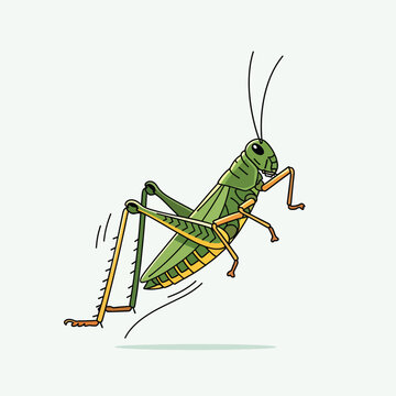 Jumping Grasshopper Illustration