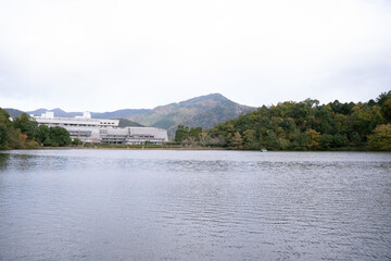 Fototapeta premium 秋の日 池の風景