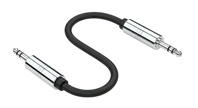 Black Audio Cable with Two 1/4-inch TRS Plugs