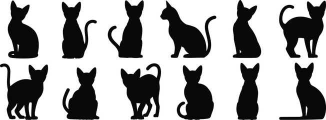 Cat silhouette collection set isolated on white background featuring different sitting and standing feline pose variations © rakib's world
