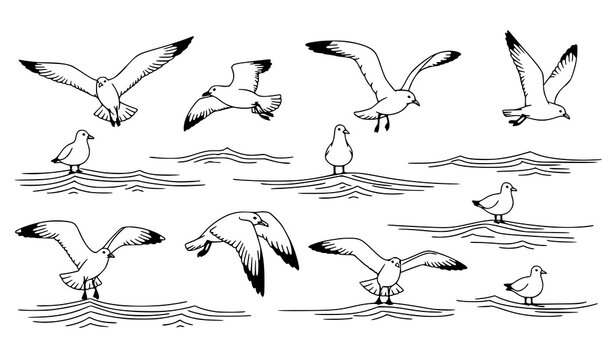 Hand-drawn seagulls vector set flying over sea waves World Maritime Day illustration