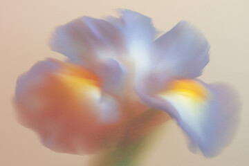 抽象的, ぼかし, フラワーアート, 花, 柔らかい色, パステルカラー, アート写真, 背景用, 穏やか, やさしい雰囲気, ドリーミー, ピンク, オレンジ, ライトブルー, 霞んだ, 美しい背景, ふんわり, 柔らかい, 植物, 自然, 風景, 静けさ, 癒し, ソフトフォーカス, スローフォト, 花びら, 春, 芸術的, エレガント, グラデーション, ロマンチック, クリーン, ミニマル