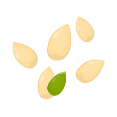 Fototapeta premium Pumpkin seeds