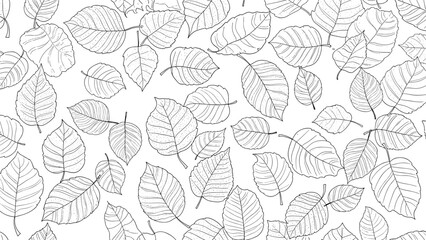 Fototapeta premium Seamless pattern with black and white hand drawn leaves of various sizes and orientations on a clean white background.