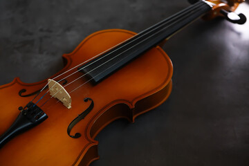 Elegant Violin on Dark Background: Strings, Classical Music, Acoustic Instrument