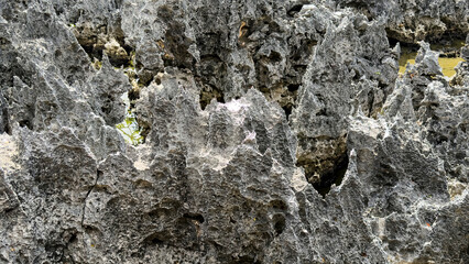 Sharp Limestone Rock Formation Close Up Texture © Rusiaeva.Pgh