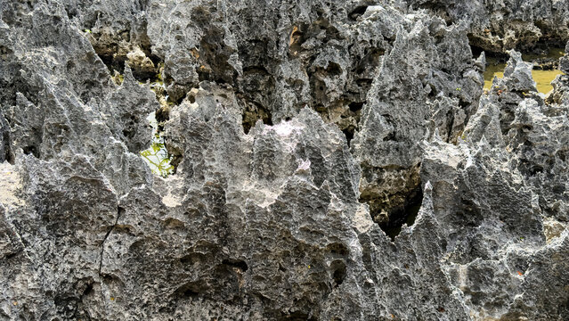 Sharp Limestone Rock Formation Close Up Texture