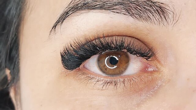 Close up of female eye with eyelash extensions ,eyelash extension procedure.2d volume, 3d volume, classical lashes,Russian volume,mega volume, new set.