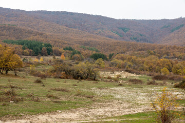 Green hill and trees in autumn with empty sky