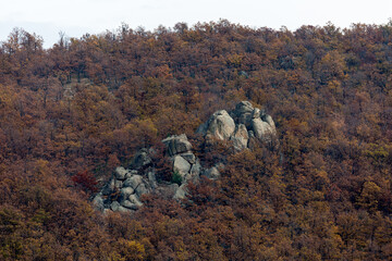 Rocks in the forest in autumn