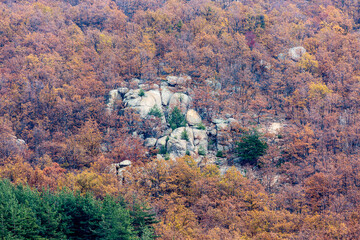 Rocks in the forest in autumn