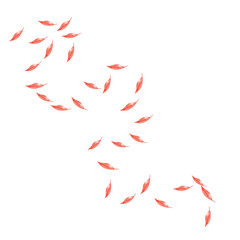 Autumn Fall PNG Transparent Illustration