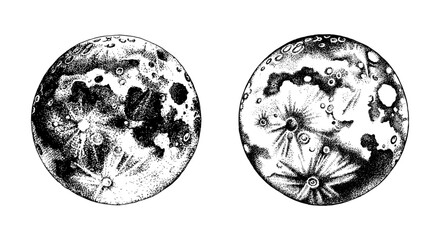 Hand drawn moon vector illustration © Marina Gorskaya