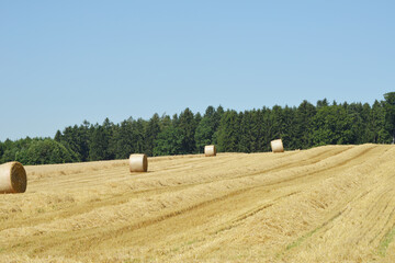 Strohballen,  Rundballen