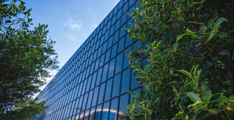 Modern glass office with big trees around to reduce heat in the building. Eco-friendly building. Sustainability concept