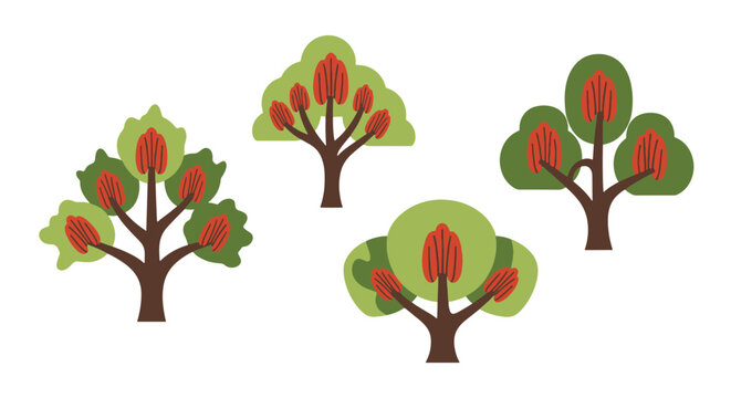 Pecan Tree Line art soft tone vector design