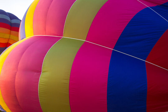 Hot air balloon colourful in the garden cosmos flower