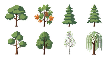 Fototapeta premium Diverse collection of stylized trees, various species and shapes, isolated on white background.