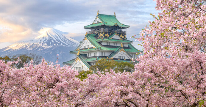 Osaka Castle Images – Browse 33,949 Stock Photos, Vectors, and