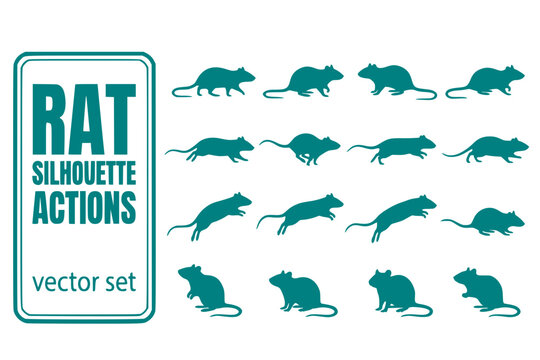 Rat Silhouette Actions Mouse-Actions Rat-Walking Rat-Running Rat-Jumping Rat-Sitting Rodent-Silhouette Mouse-Silhouette Vector Set - Rat Mouse