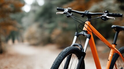 Close-up of a mountain bike in a park. man riding