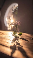 Soft focus on a wildflower on a wooden table with sunlight beaming through the window