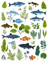 Naklejka premium Grouping of stylized fish and green plant illustrations isolated on a white background