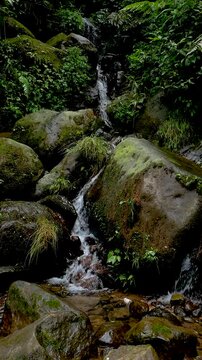 Vertical view of water flowing out of crevices of large mossy rocks with natural light in the middle of the tropical forest of West Java, Indonesia