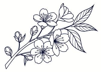 Simple botanical outline sketch, modern small tattoo stencil, refined floral vector graphic, crisp thin lines 2