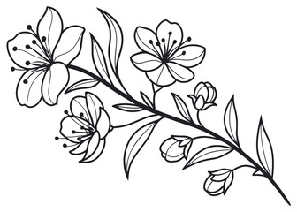 Simple botanical outline sketch, modern small tattoo stencil, refined floral vector graphic, crisp thin lines