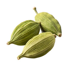 Freshly harvested green cardamom pods displayed against a plain background