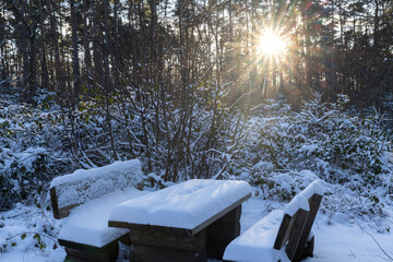 Snowy bench in nature park D&uuml;bener Heide, Germany