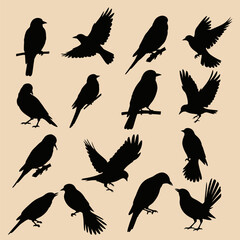 Obraz premium Songbird and Small Wild Bird Silhouette Set Vector Illustration