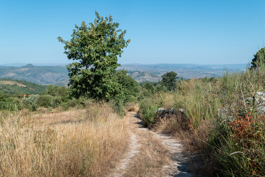 Trilho r&uacute;stico de terra batida serpenteando por uma paisagem rural &aacute;rida sob um c&eacute;u azul l&iacute;mpo e com vista panor&acirc;mica para vales e montanhas em Tr&aacute;s os Montes, Portugal