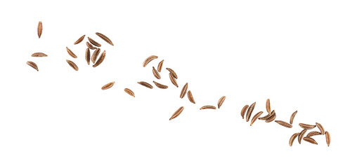Flying caraway seeds or dry cumin spice grains isolated. Scattered brown seasoning texture. Aromatic herbal ingredient for cooking and baking