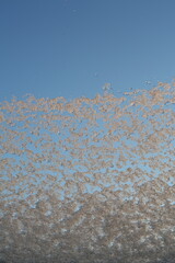 snow on the dormer window with the sun shining on it