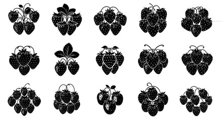 Blackberry illustrations on grid background for design and decoration