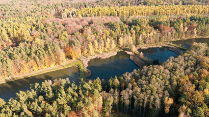 Drone view over fall forest and water