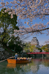 桜と和船