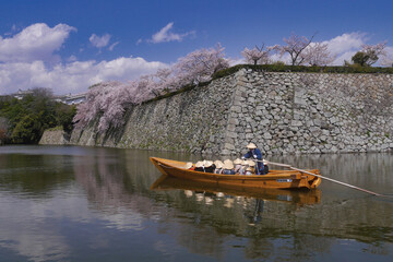 桜と和船